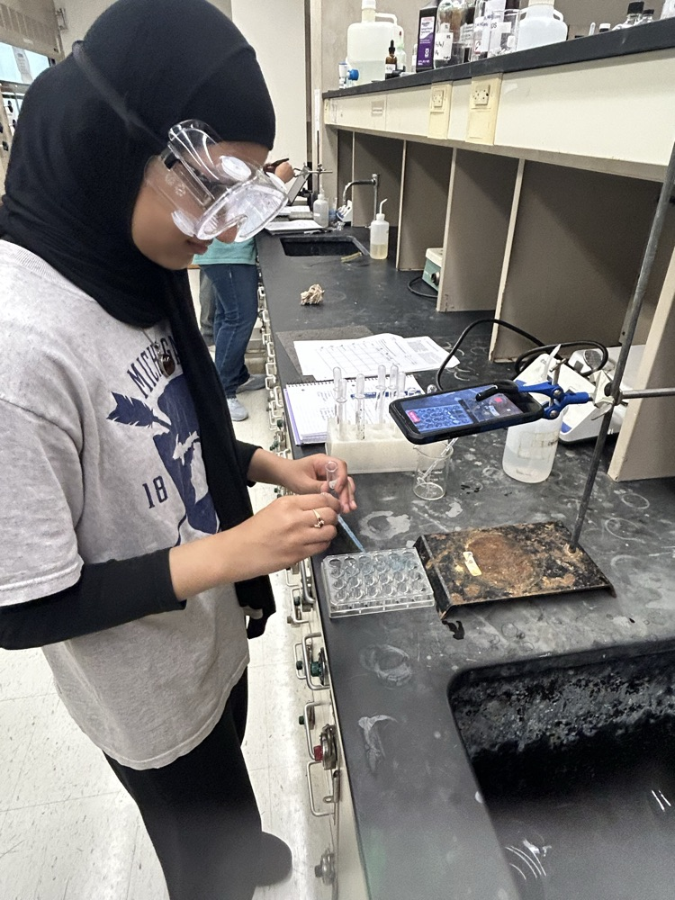 lab