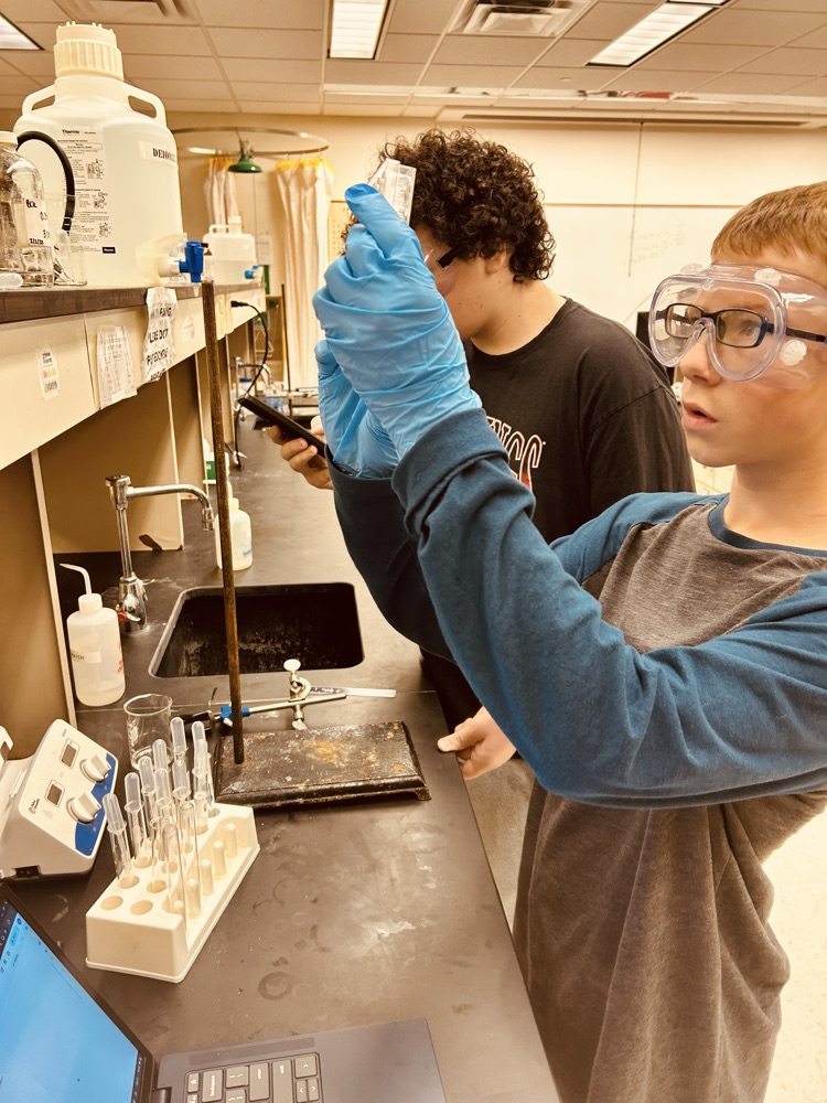 lab