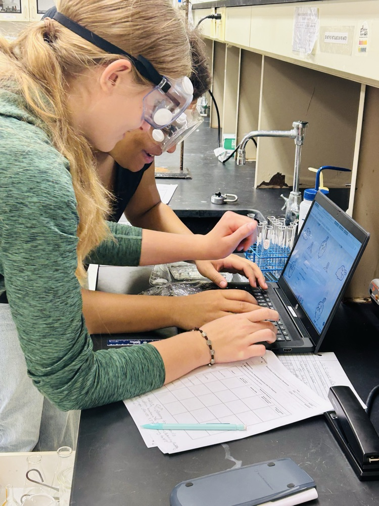 lab