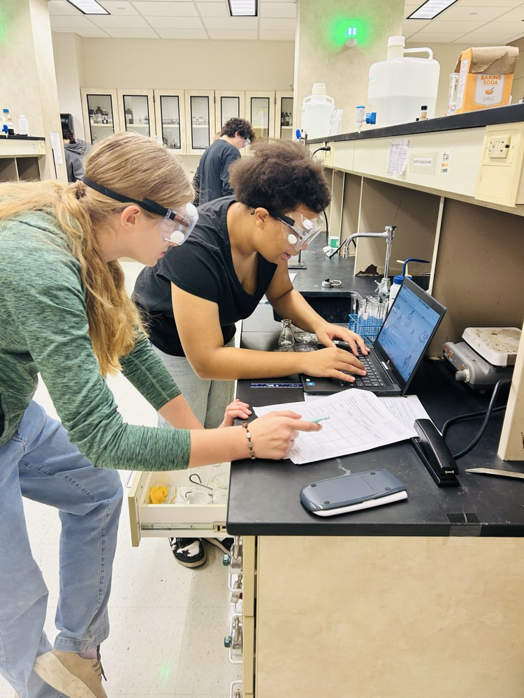 lab