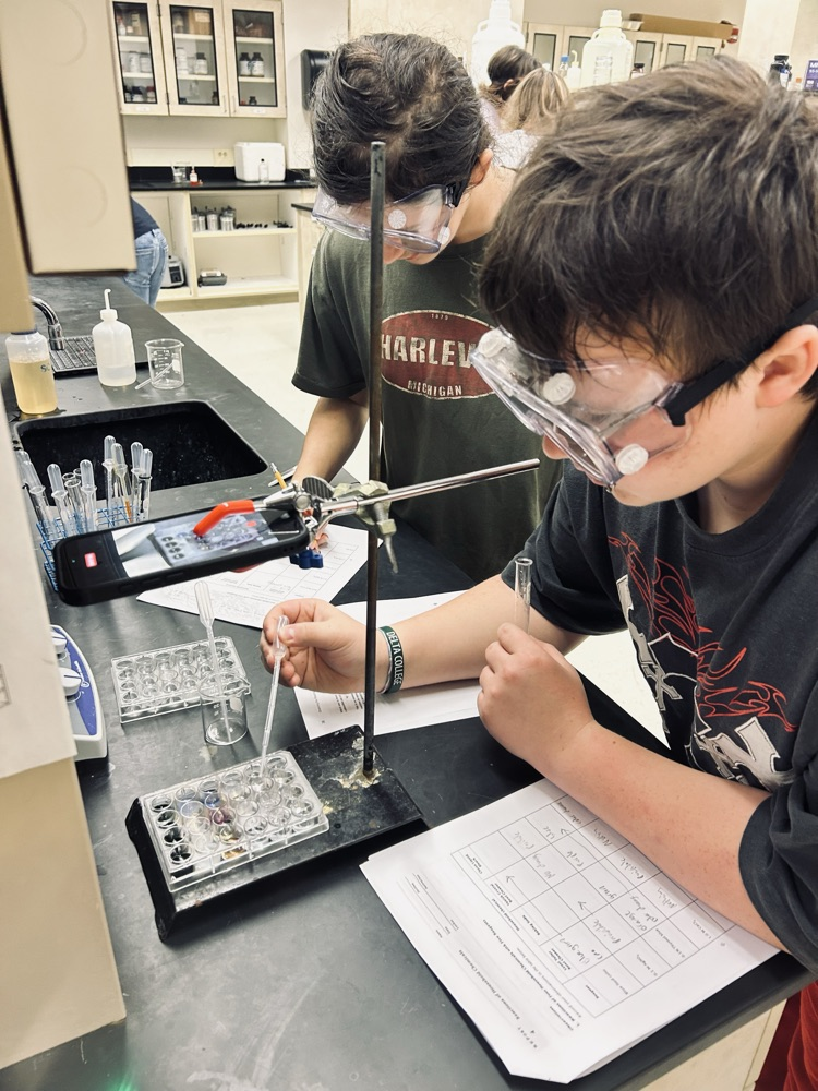 lab