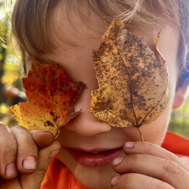 leaf glasses