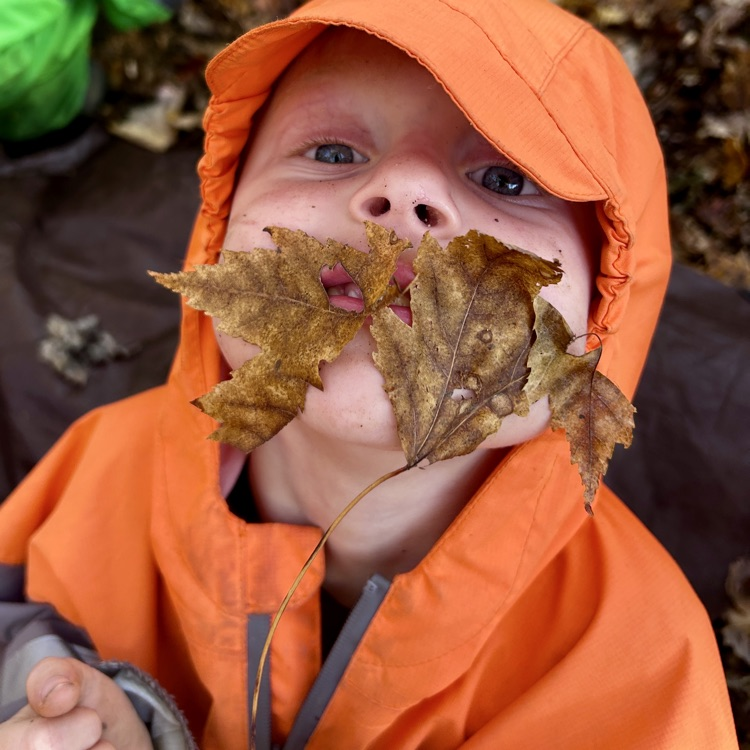 leaf mustache 