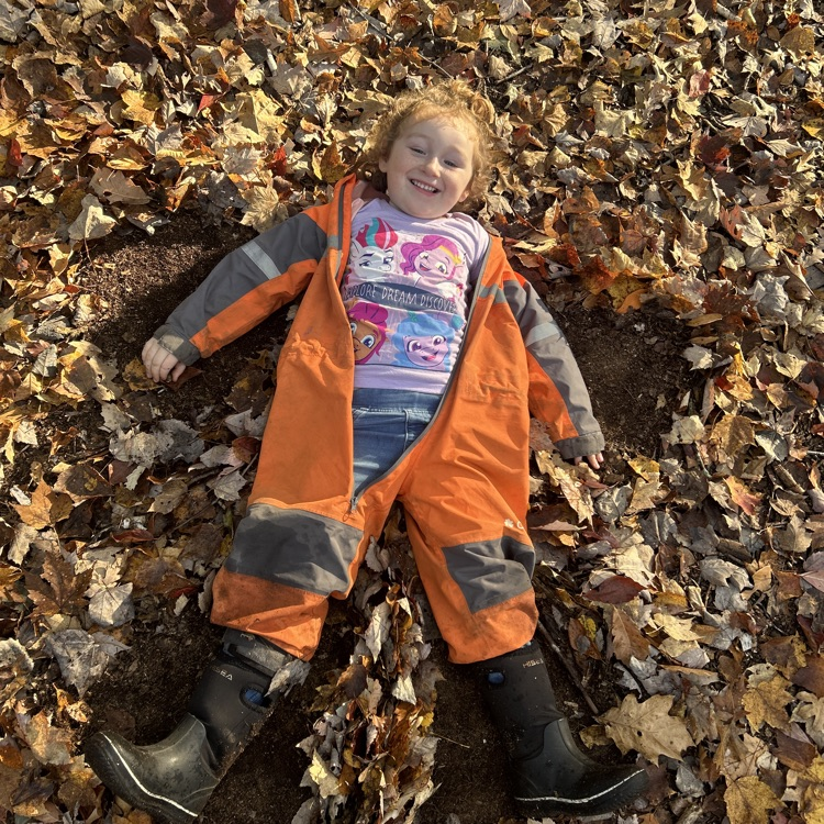 leaf angel