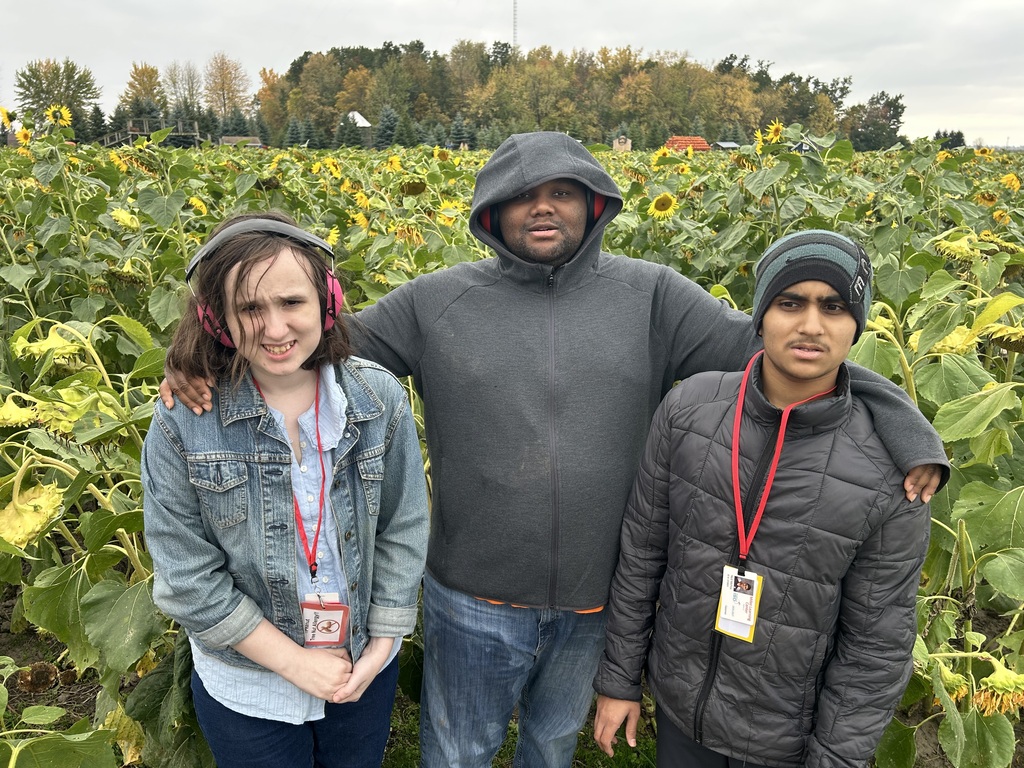 Students enjoying their time at Johnson's Pumpkin Farm