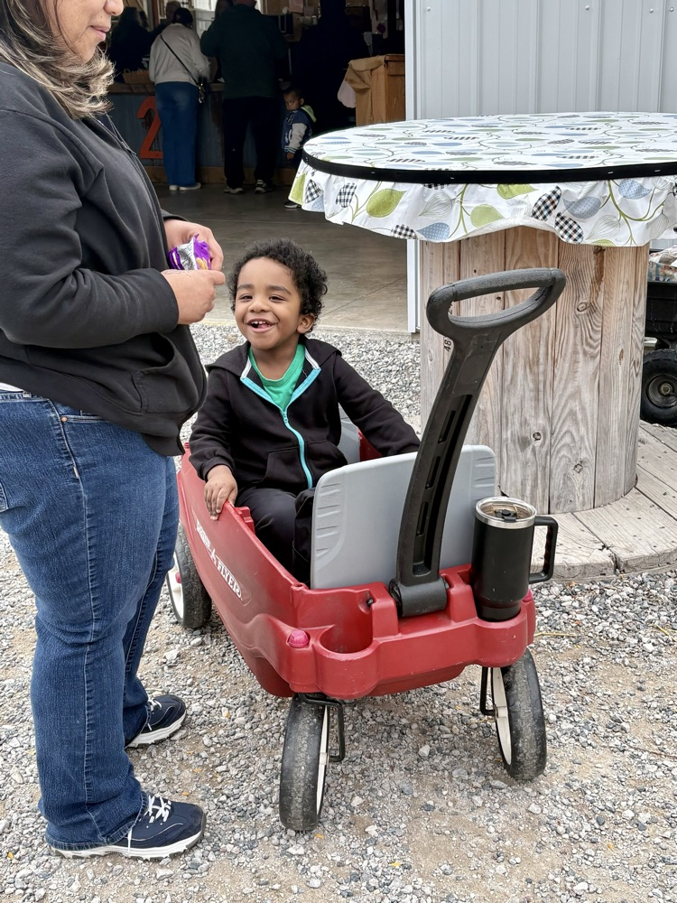 farm fun