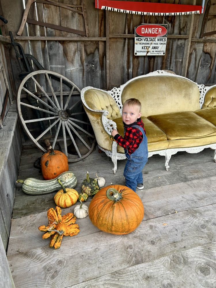 pumpkin fun