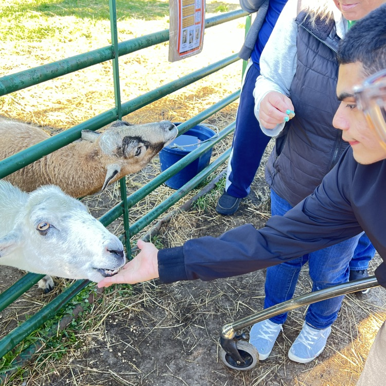 farm