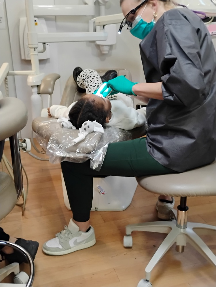 Dental Bus 