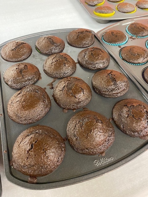 dozen of chocolate cupcakes baked and right out of the oven in a cupcake tin