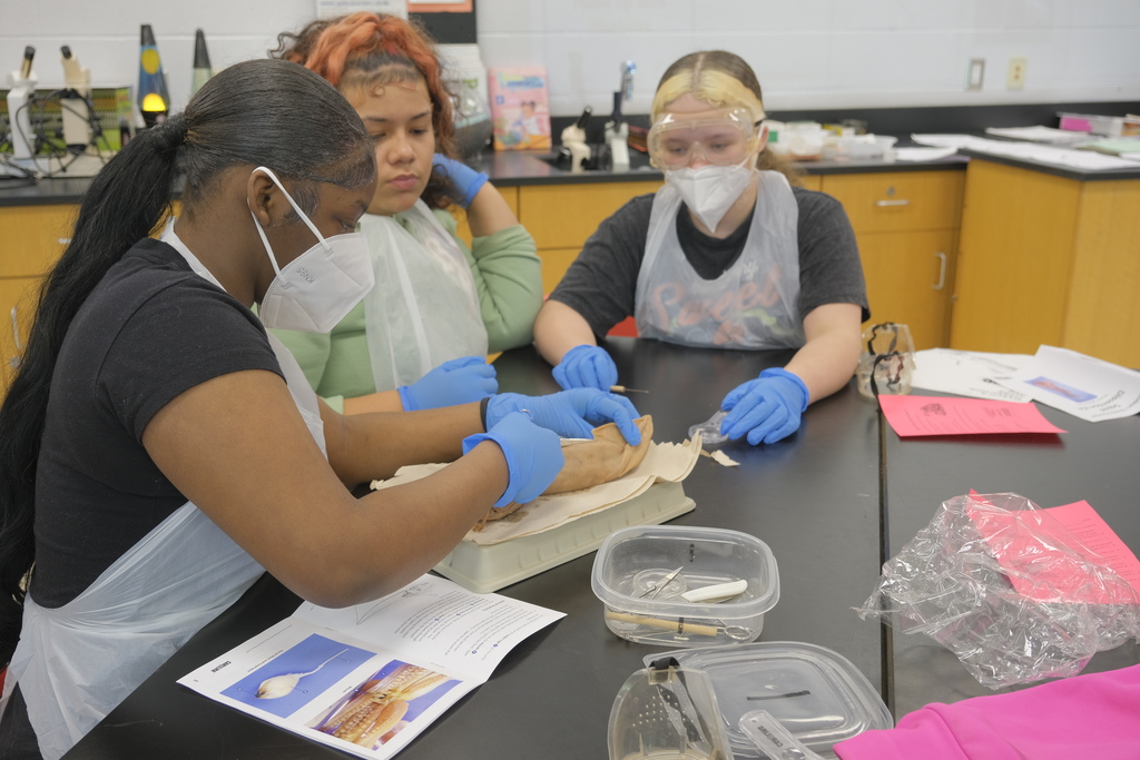 Students dissecting in science class