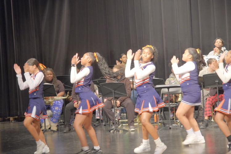 Pompon team performs