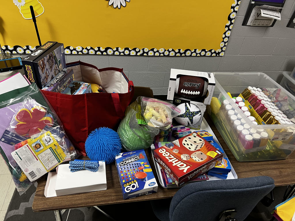 GSSEM Troop 77098 from Lexington, MI donated indoor/outdoor recess equipment