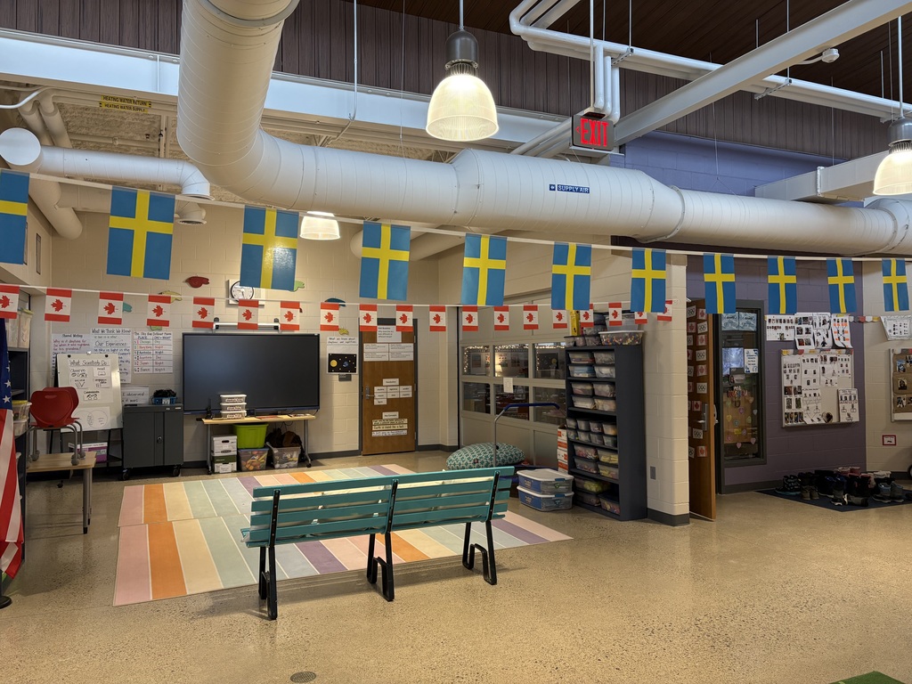 Sweden mini flags/banners & Canadian mini flags/banners hanging in a school hallway
