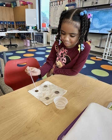 2B00C5F7-A0E8-4929-88AE-F015D29D8C6A_4_5005_c