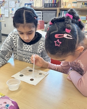 290F87C9-05CA-4D2A-9260-5E5074A98E3F_4_5005_c