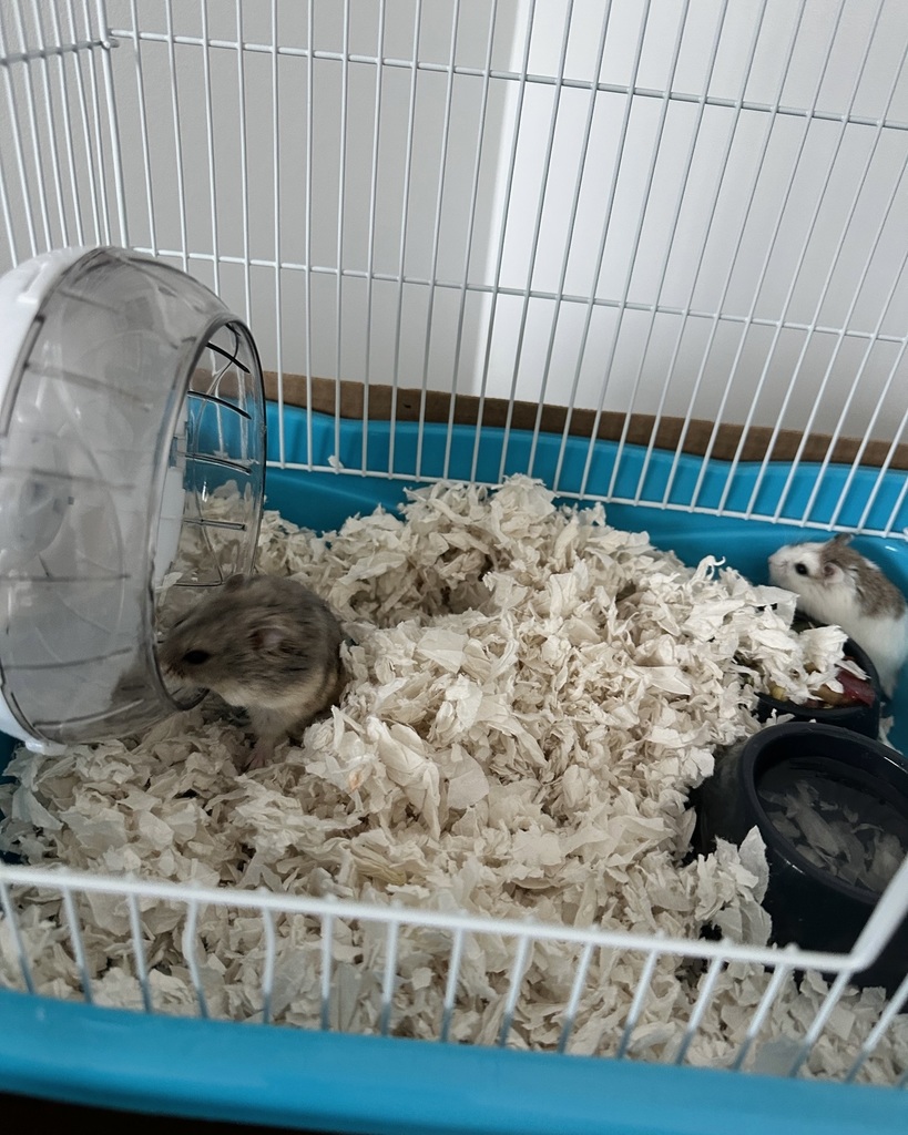 E09ACE7C-682A-429C-AFF3-51453A1D1339_1_201_a