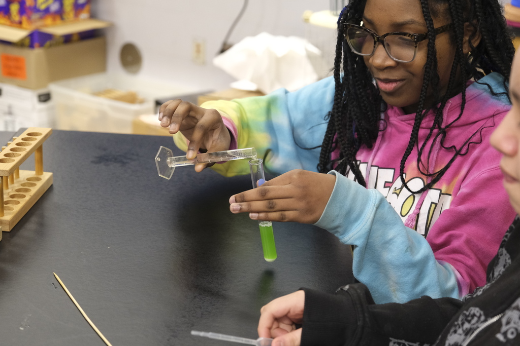 Students extract DNA from pea plants