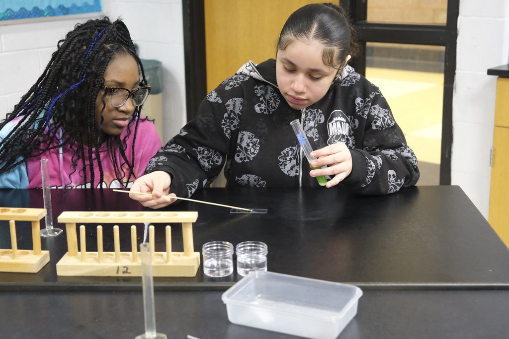 Students extract DNA from pea plants