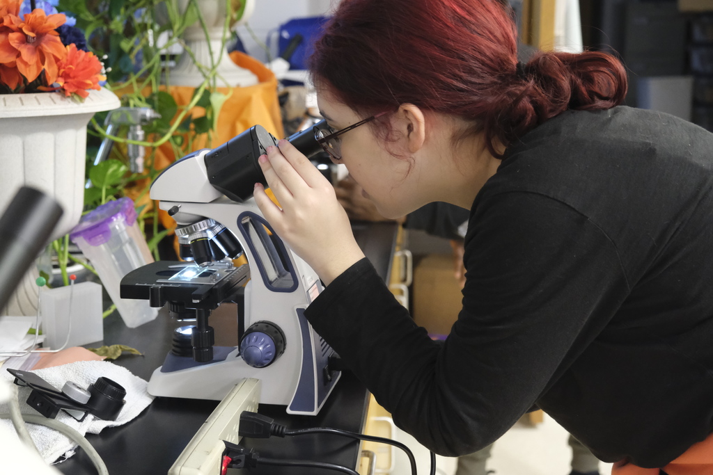 Students extract DNA from pea plants