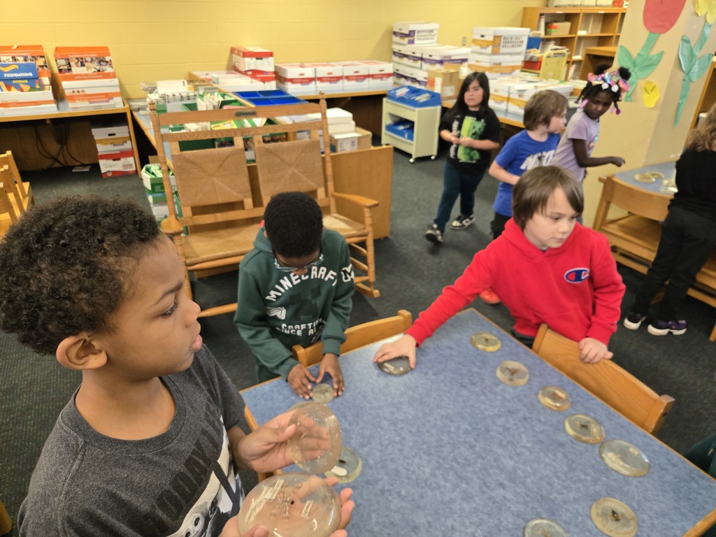 2nd Grade