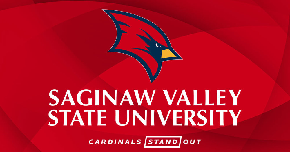 SVSU graphic
