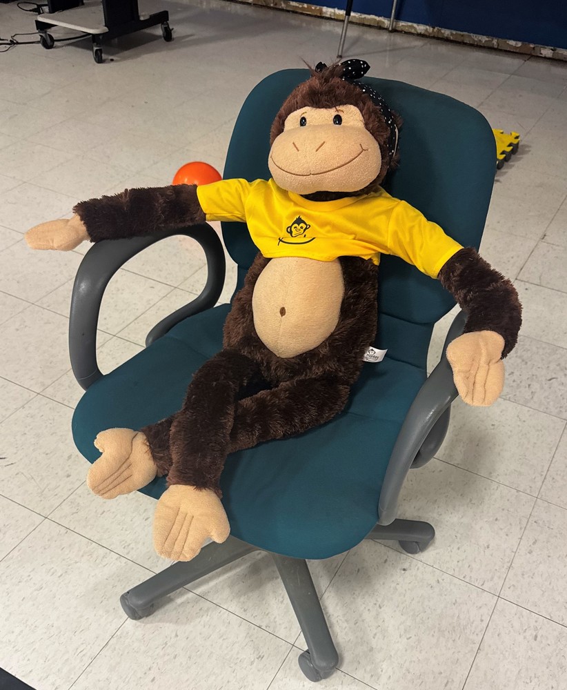 monkey in chair