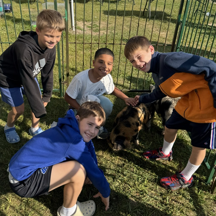 animals