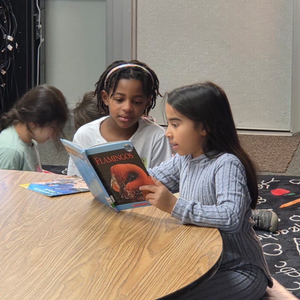 students partner read book about flamingos