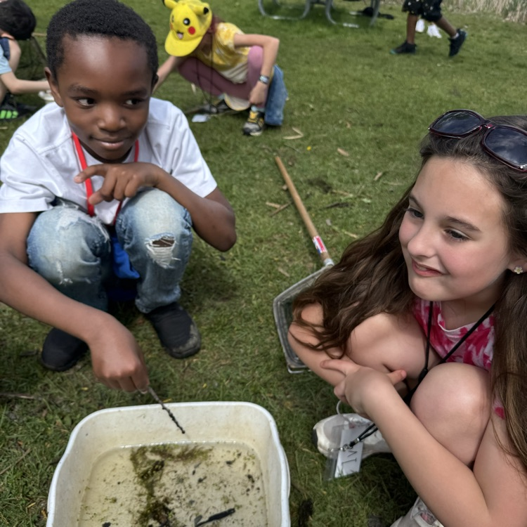 pond dipping