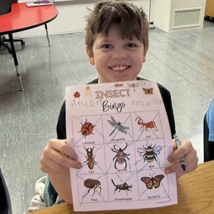 insects