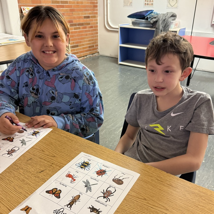 insects