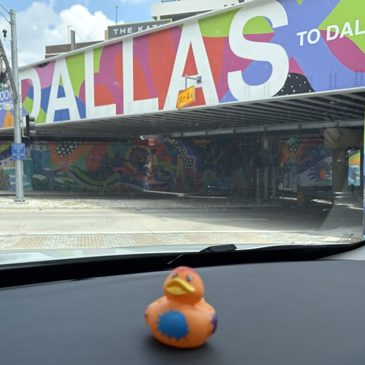 duck adventures