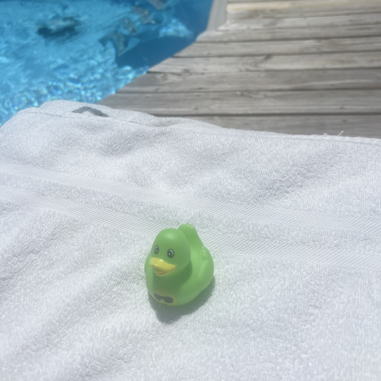 ducky by pool