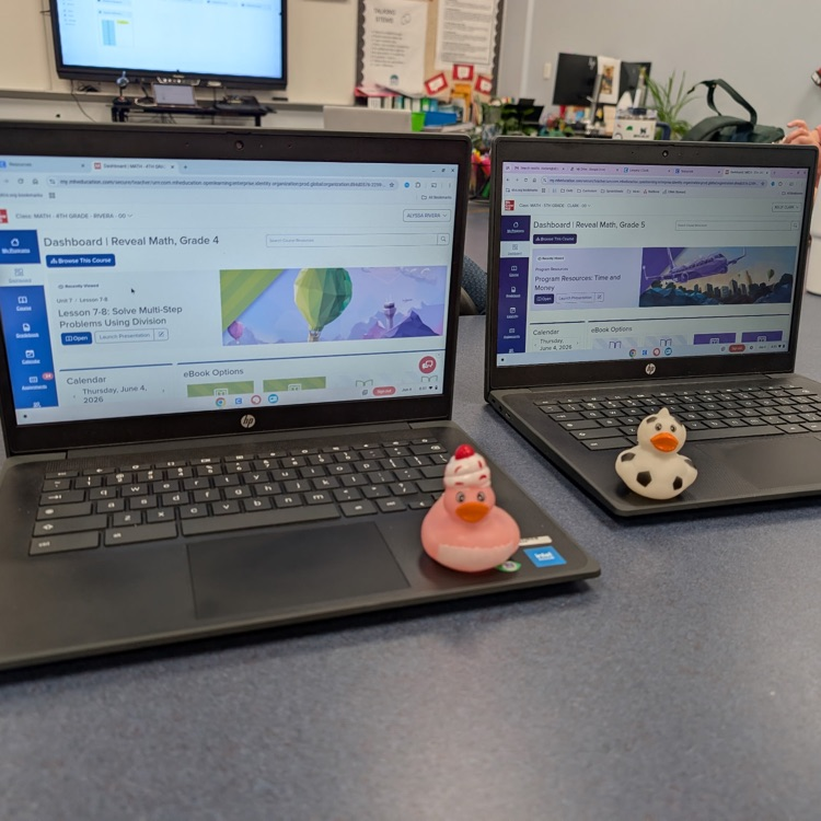 ducks planning math