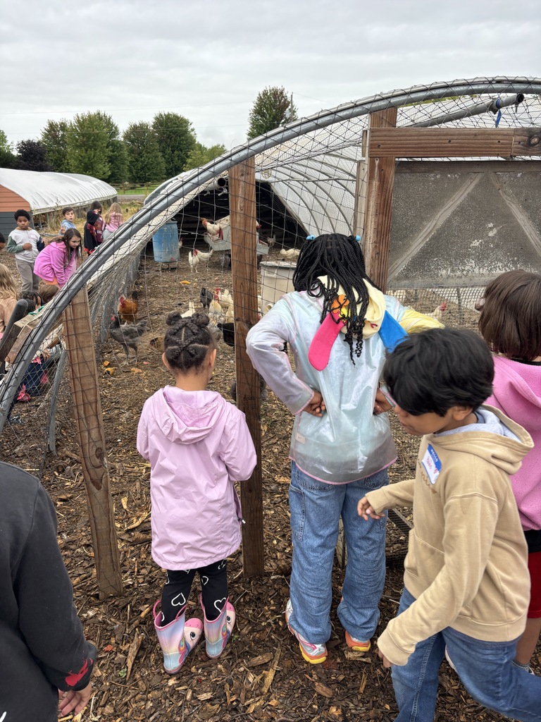 chicken coop