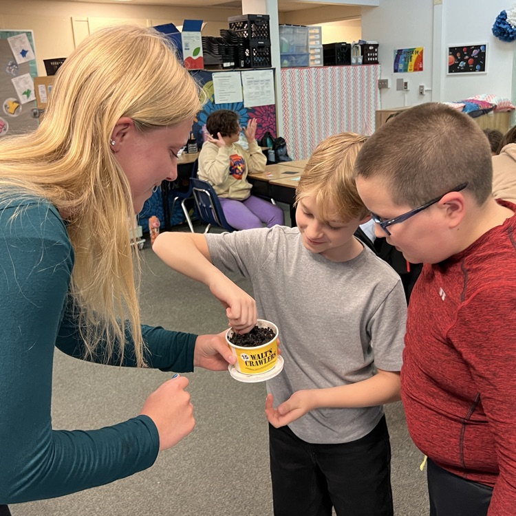 worm experiment