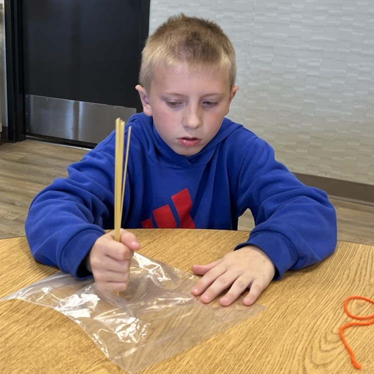 stem challenge