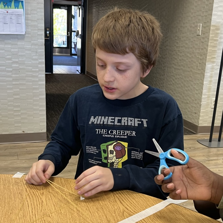 stem challenge