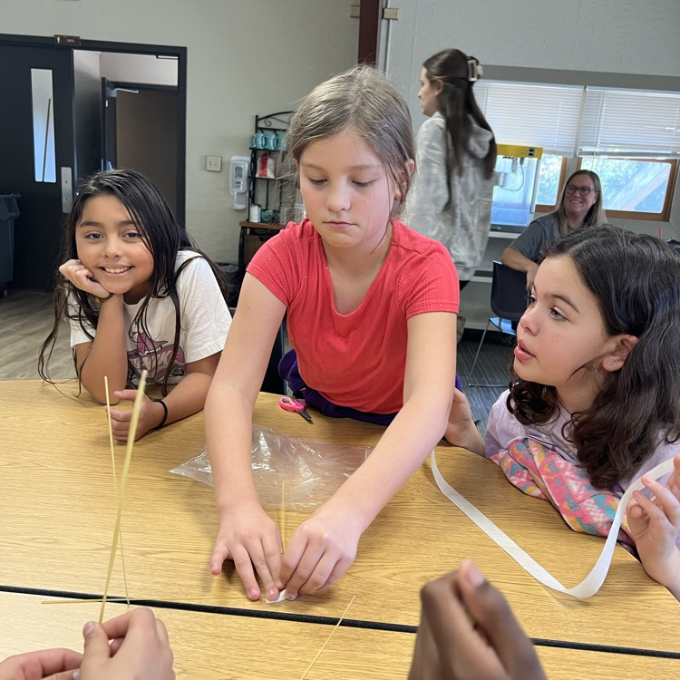 stem challenge 