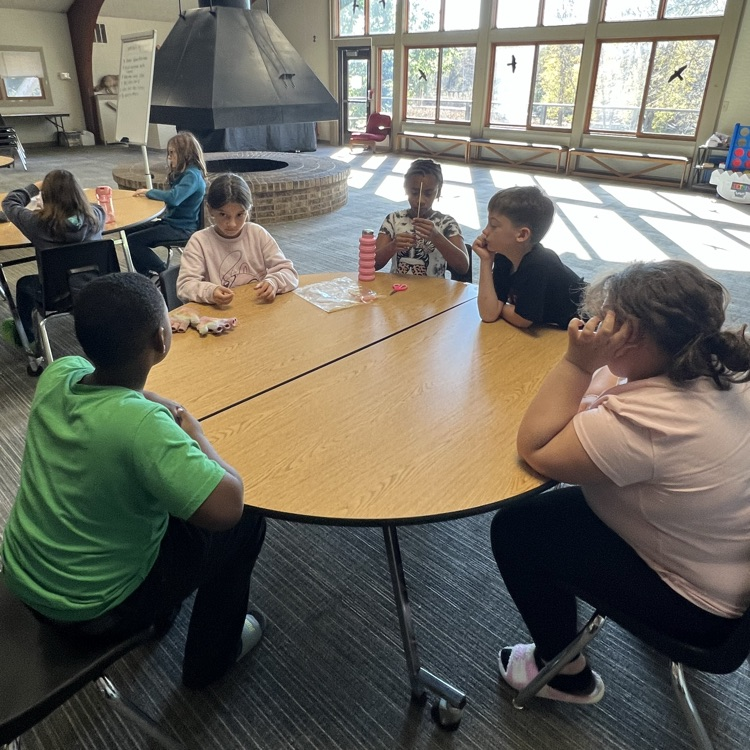 stem challenge