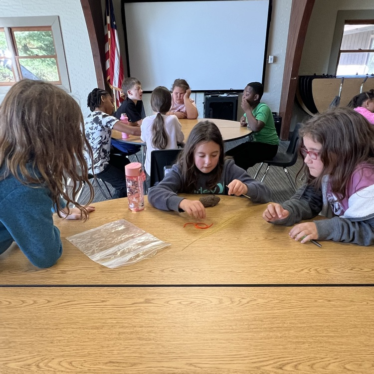 stem challenge