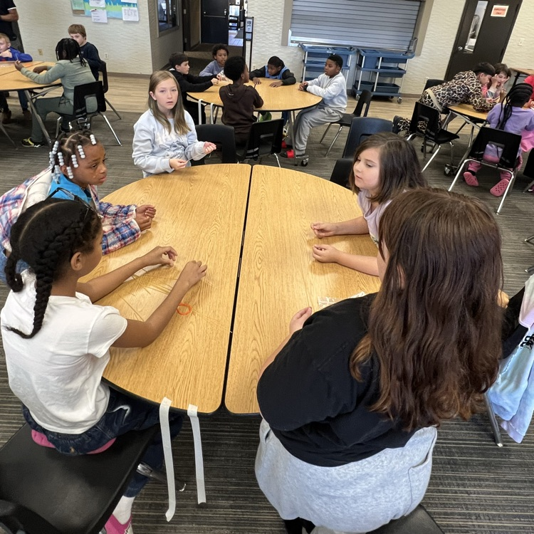 stem challenge