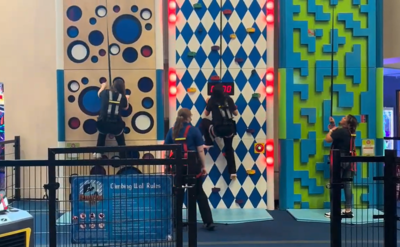 kids climbing a wall