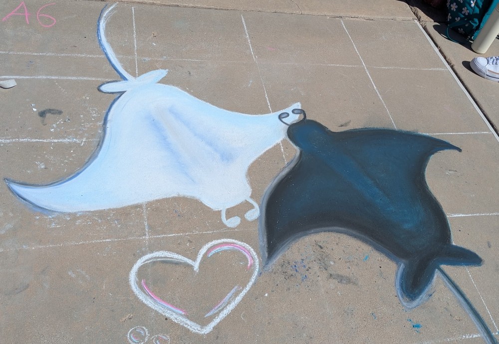 Manta Rays by Georgiana Brown