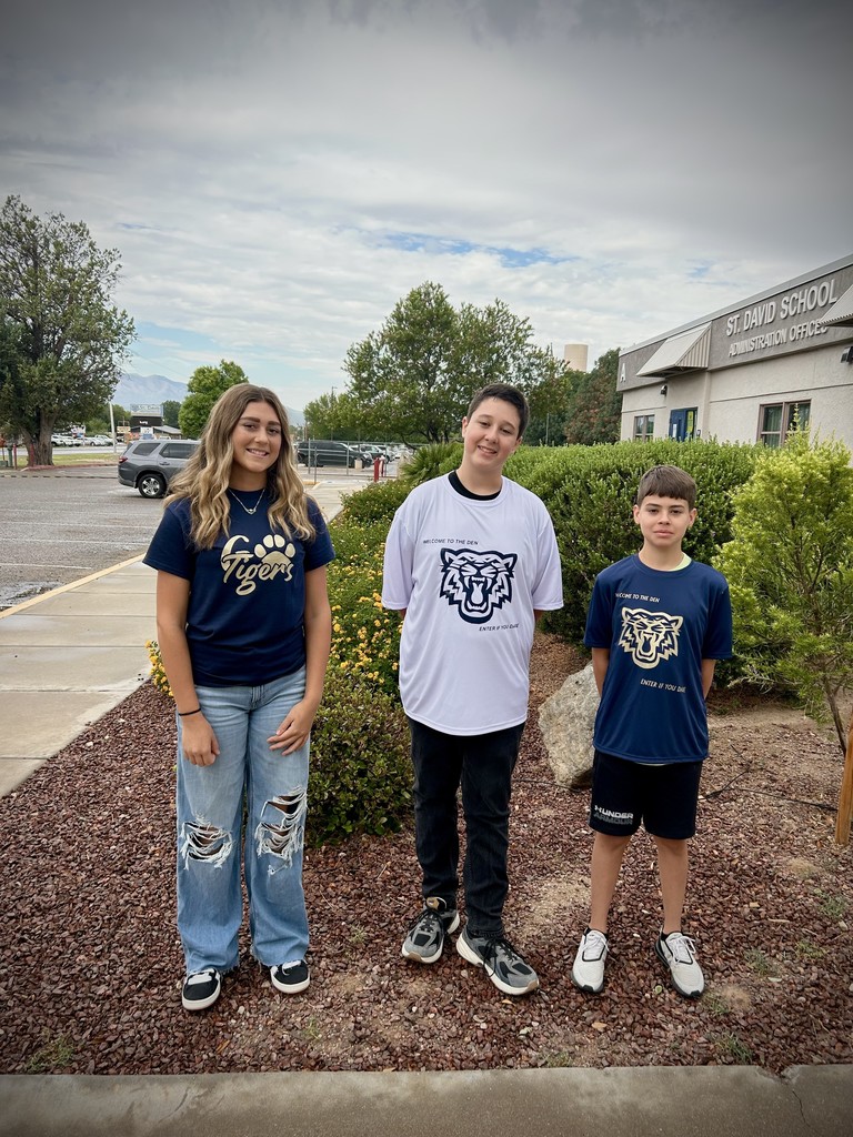 Students in Tiger shirts