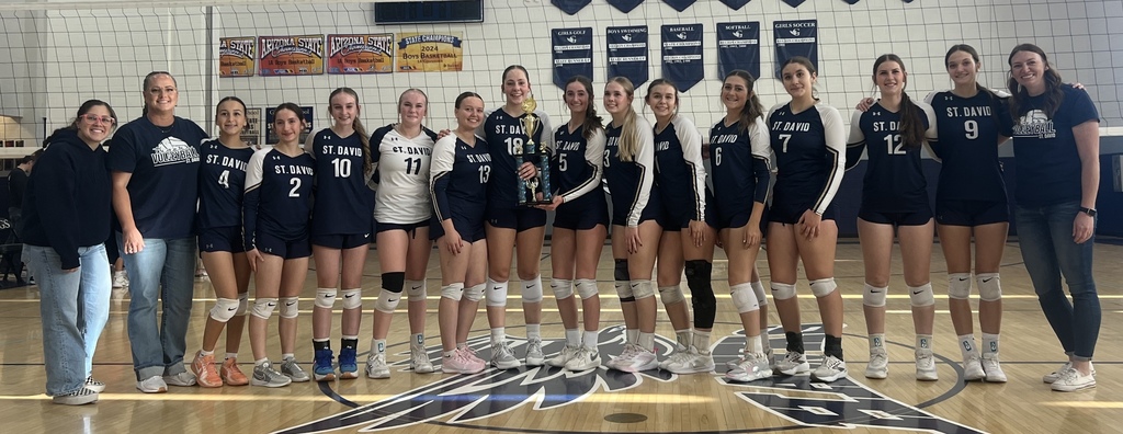 Volleyball team cropped for instagram