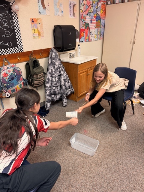 students using a project