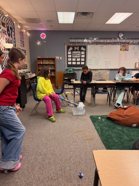 Students using project