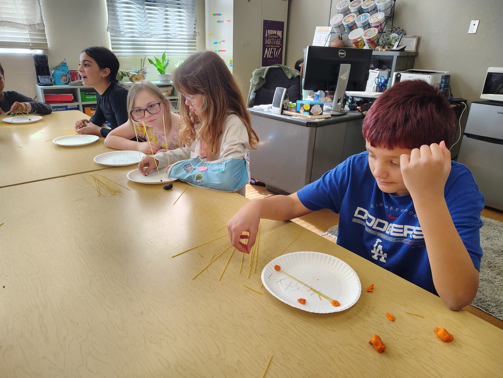 Students making spaghetti towers